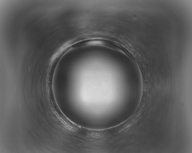 X0000081430341200701121308