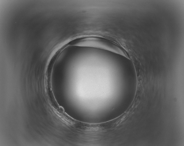 X0000081430342200701121308