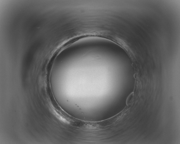 X0000081430346200701121308