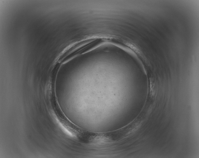 X0000081430348200701121308
