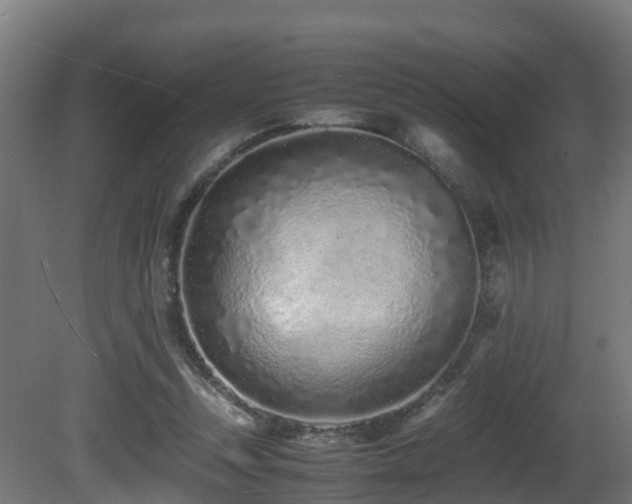 X0000081430351200701121308