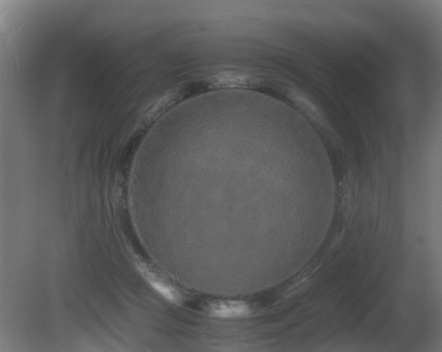 X0000081430361200701121308
