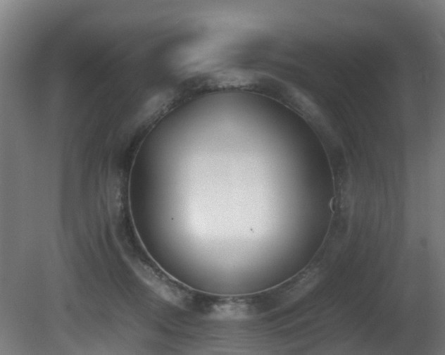 X0000081430362200701121308