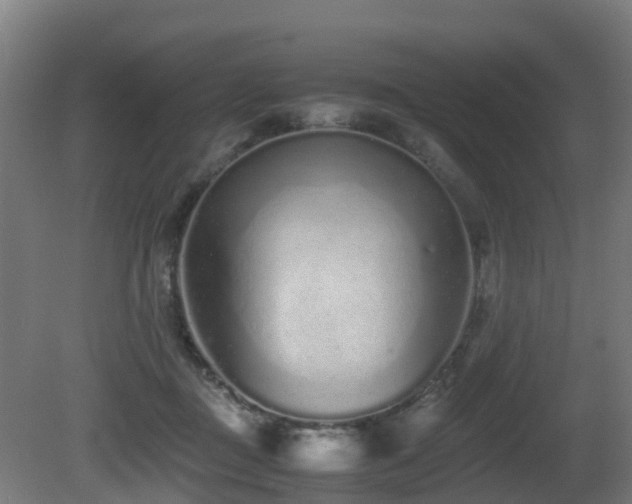 X0000081430363200701121308