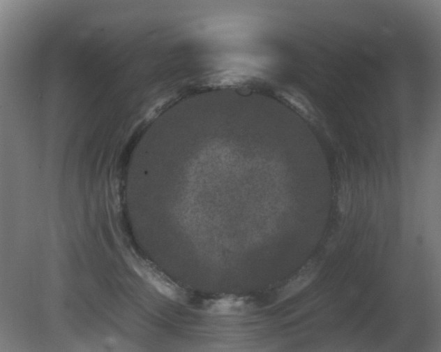 X0000081430366200701121308
