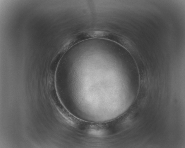 X0000081430367200701121308