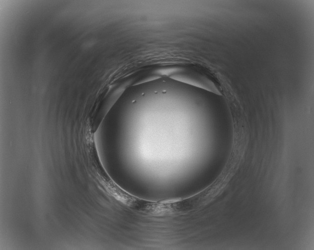 X0000081430384200701121308
