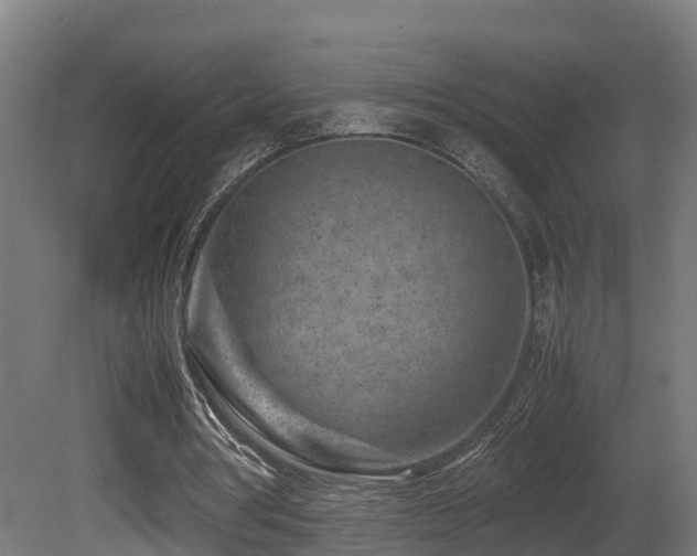 X0000081430386200701121307