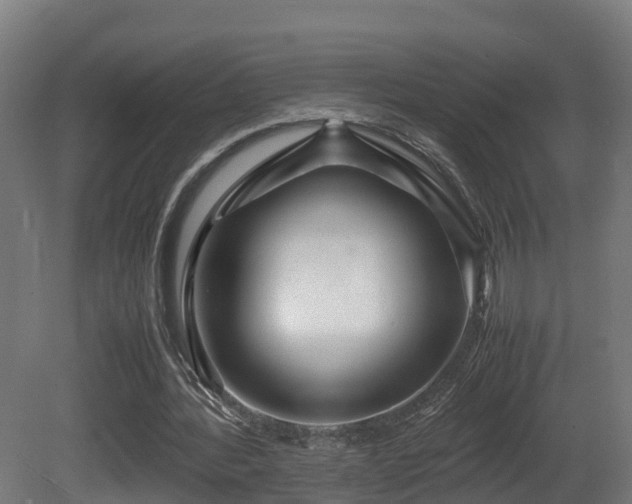 X0000081430388200701121307