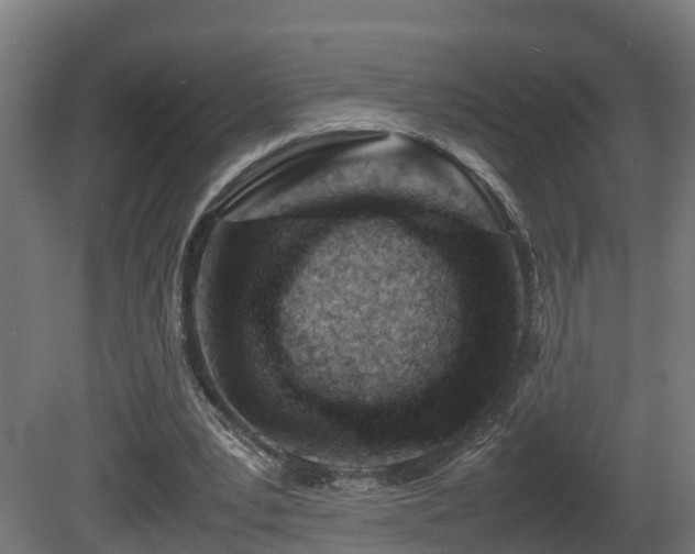 X0000081430391200701121307