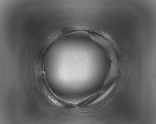 X0000081430393200701121307