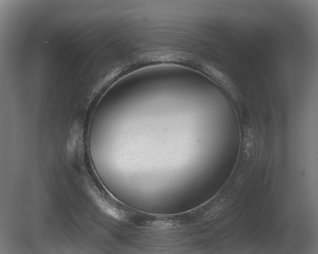 X0000081430394200701121307