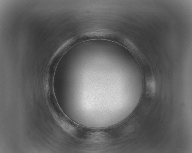 X0000081430396200701121307