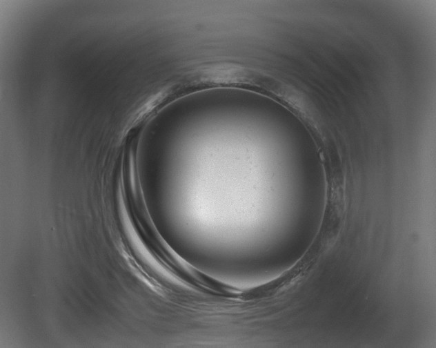 X0000081430397200701121307