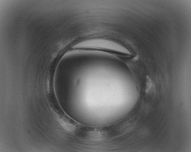 X0000081430404200701121307