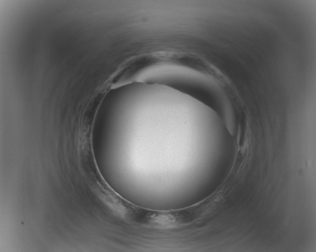 X0000081430409200701121307