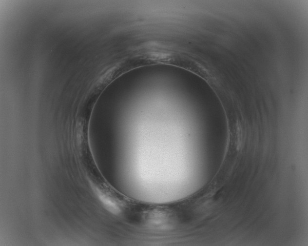 X0000081430412200701121307