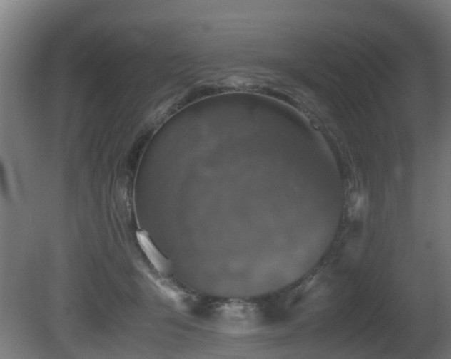 X0000081430415200701121307