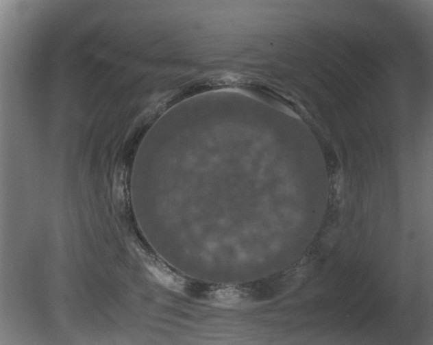 X0000081430423200701121307