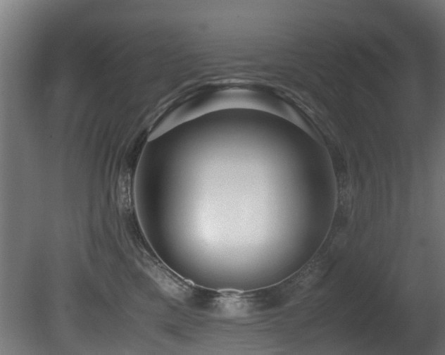 X0000081430425200701121307
