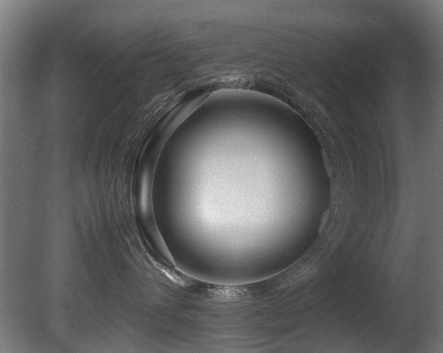 X0000081430432200701121307