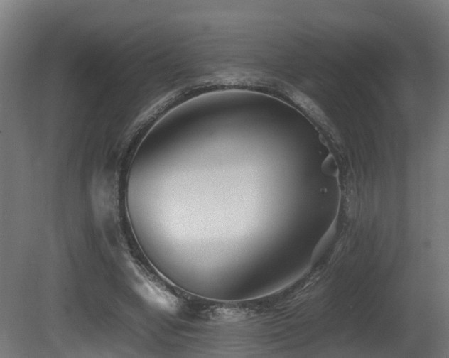 X0000081430442200701121306