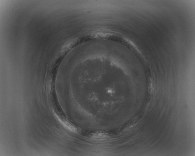 X0000081430451200701121306