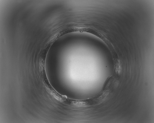 X0000081430476200701121307
