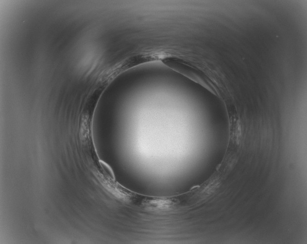 X0000081430478200701121307