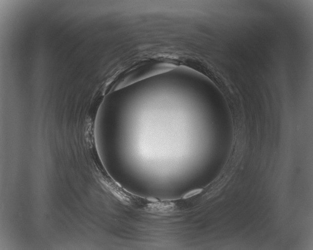 X0000081430480200701121307