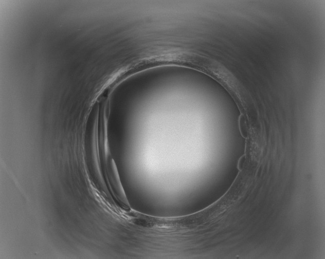X0000081430482200701121306