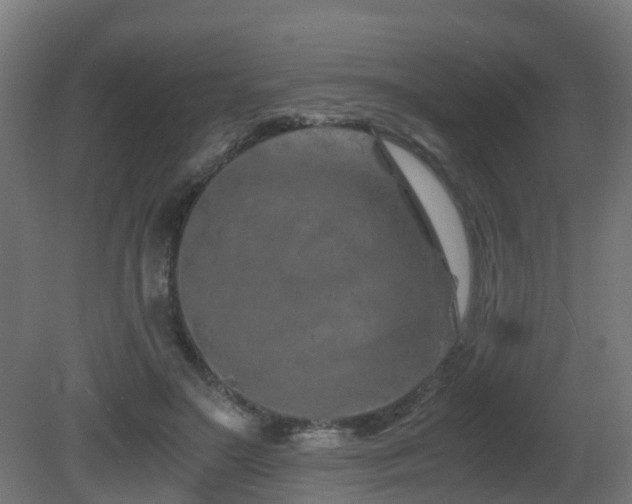 X0000081430499200701121306