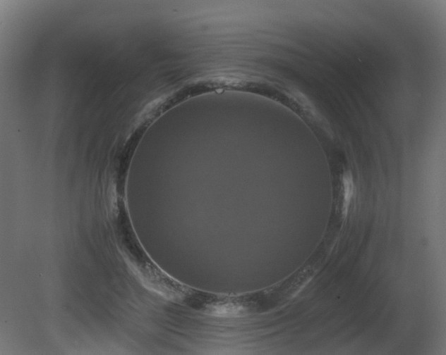 X0000081430500200701121306