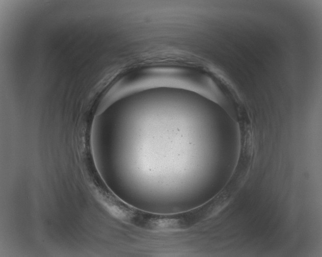 X0000081430501200701121305