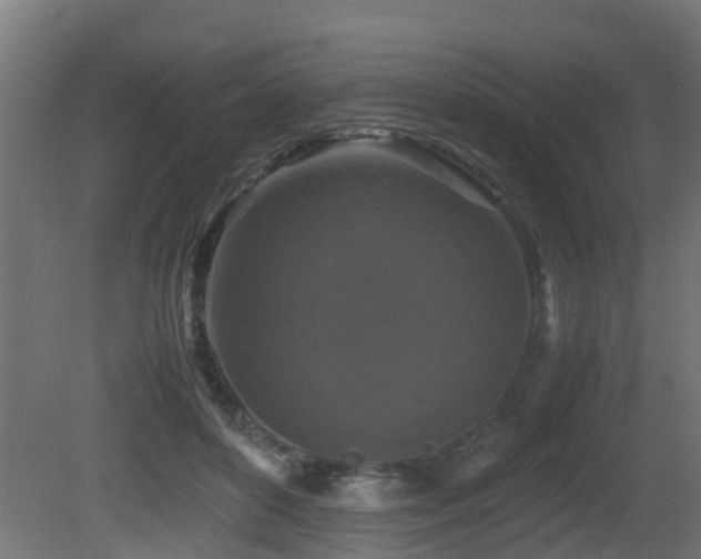 X0000081430504200701121305