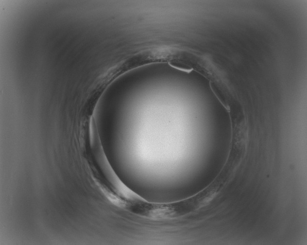 X0000081430505200701121305