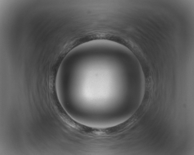 X0000081430509200701121305