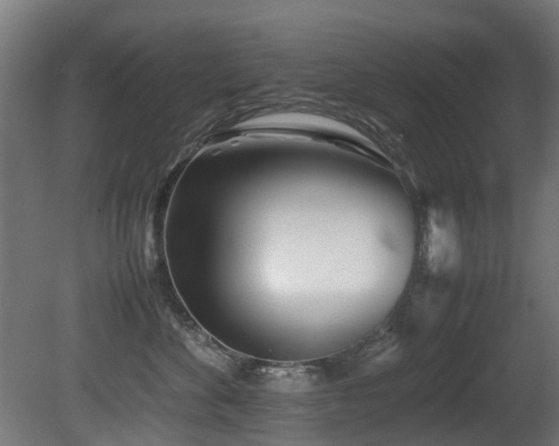 X0000081430524200701121305