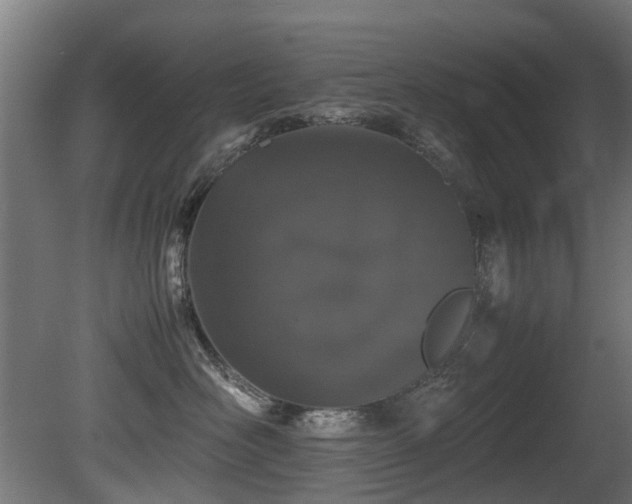X0000081430526200701121305