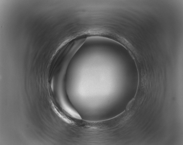 X0000081430530200701121304