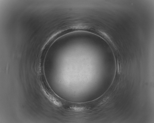 X0000081430531200701121304