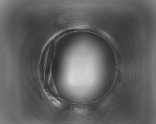 X0000081430532200701121304