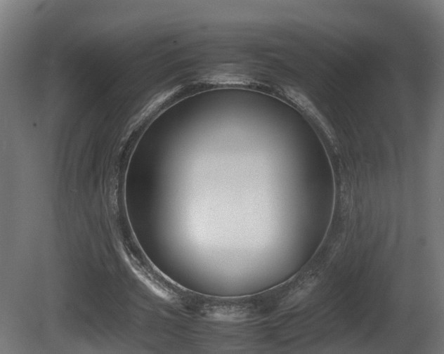 X0000081430533200701121304
