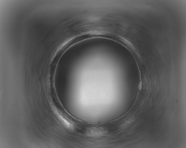 X0000081430535200701121304