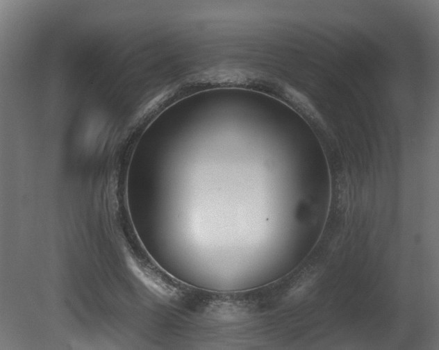 X0000081430538200701121304
