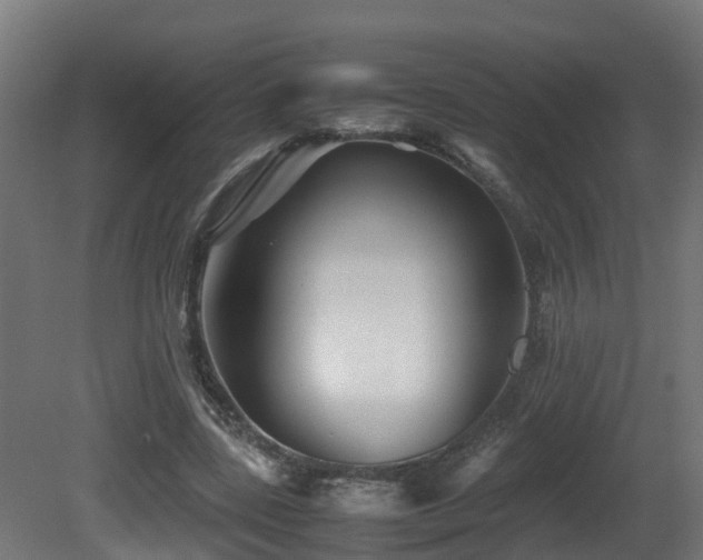 X0000081430539200701121304
