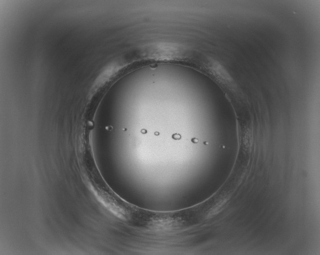 X0000081430540200701121304