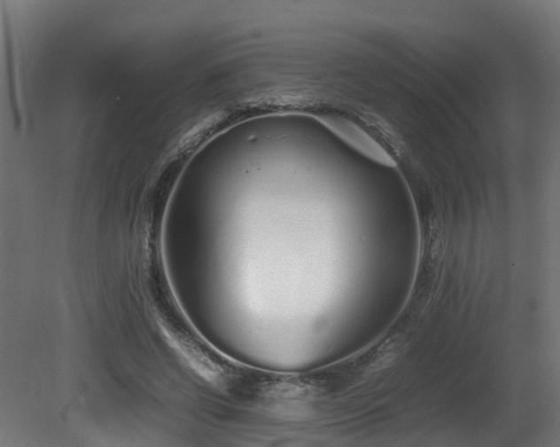 X0000081430542200701121304