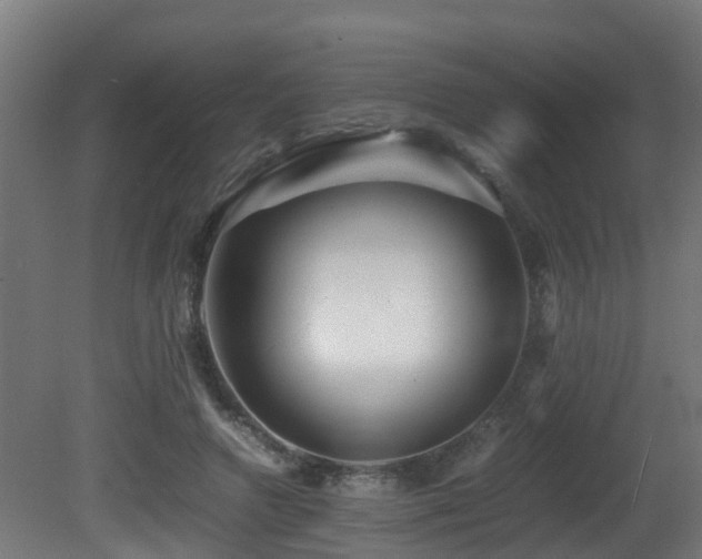 X0000081430546200701121305