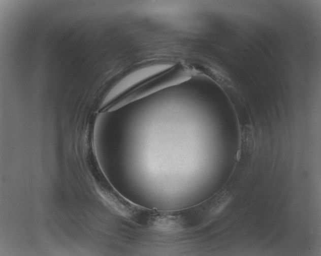 X0000081430550200701121305